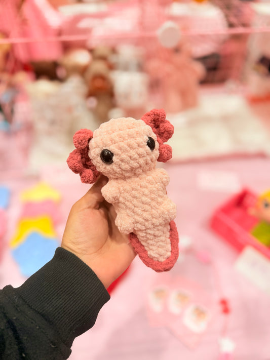 Axolotl✨