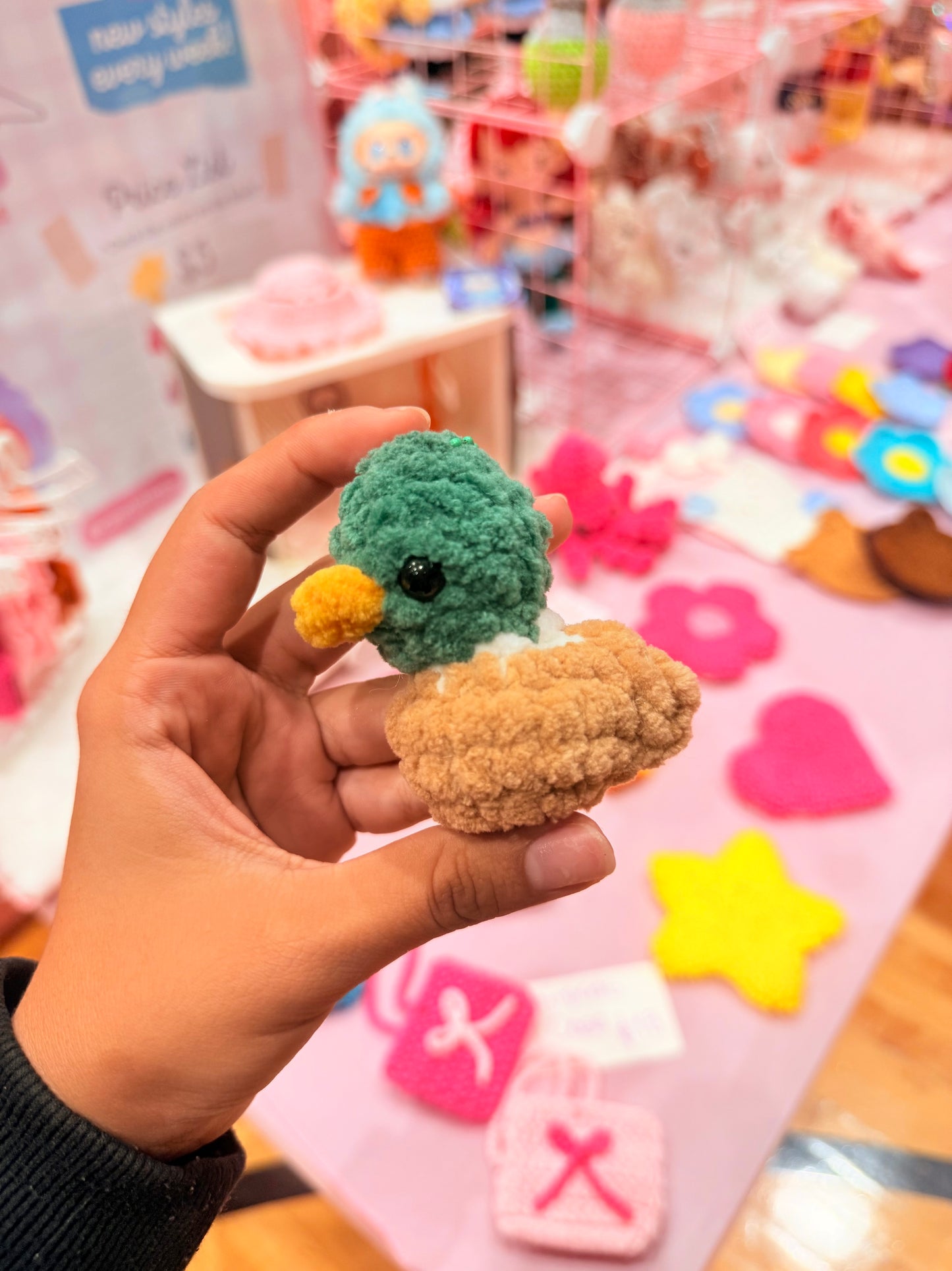 Mini Ducks✨