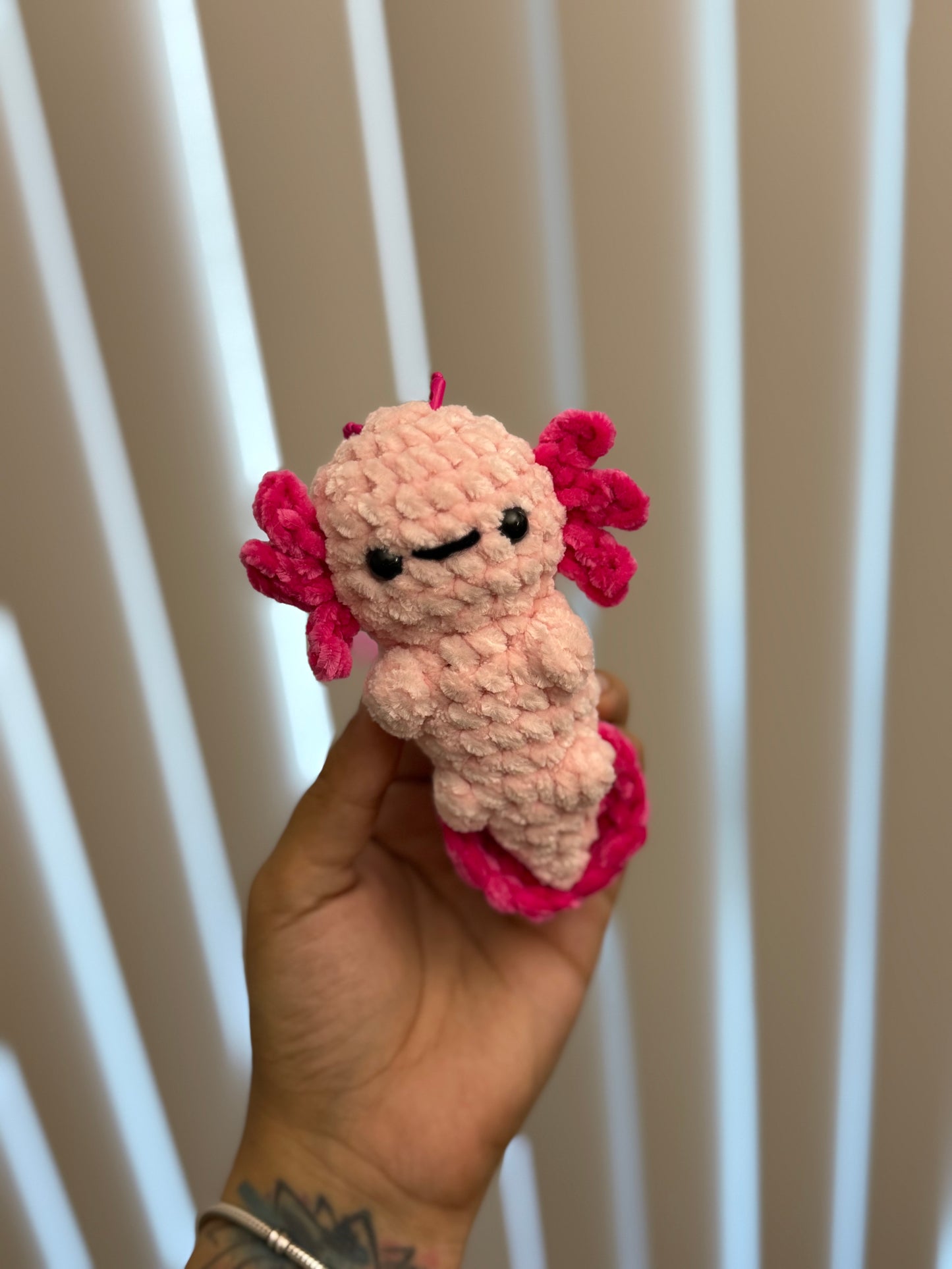 Sleepy Axolotl✨