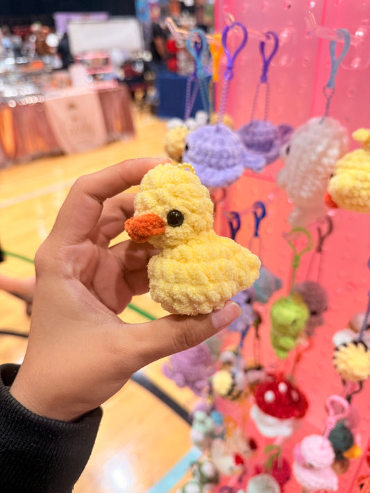 Mini Ducks✨