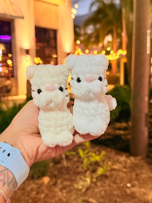 Mini Kittens