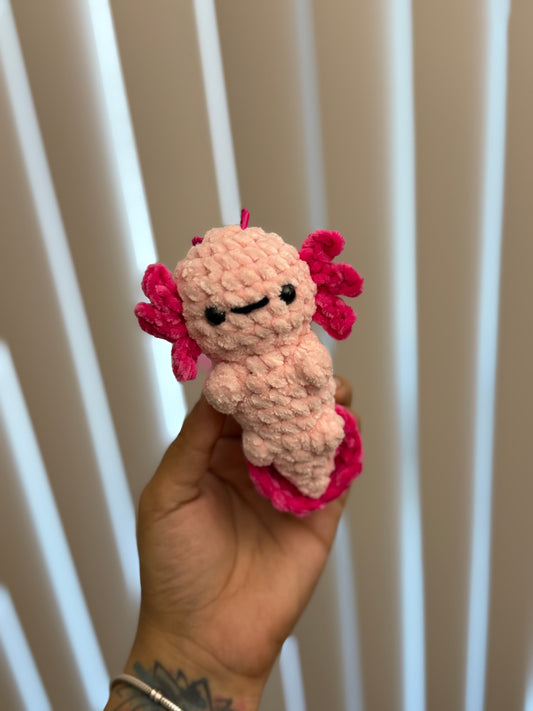Sleepy Axolotl✨