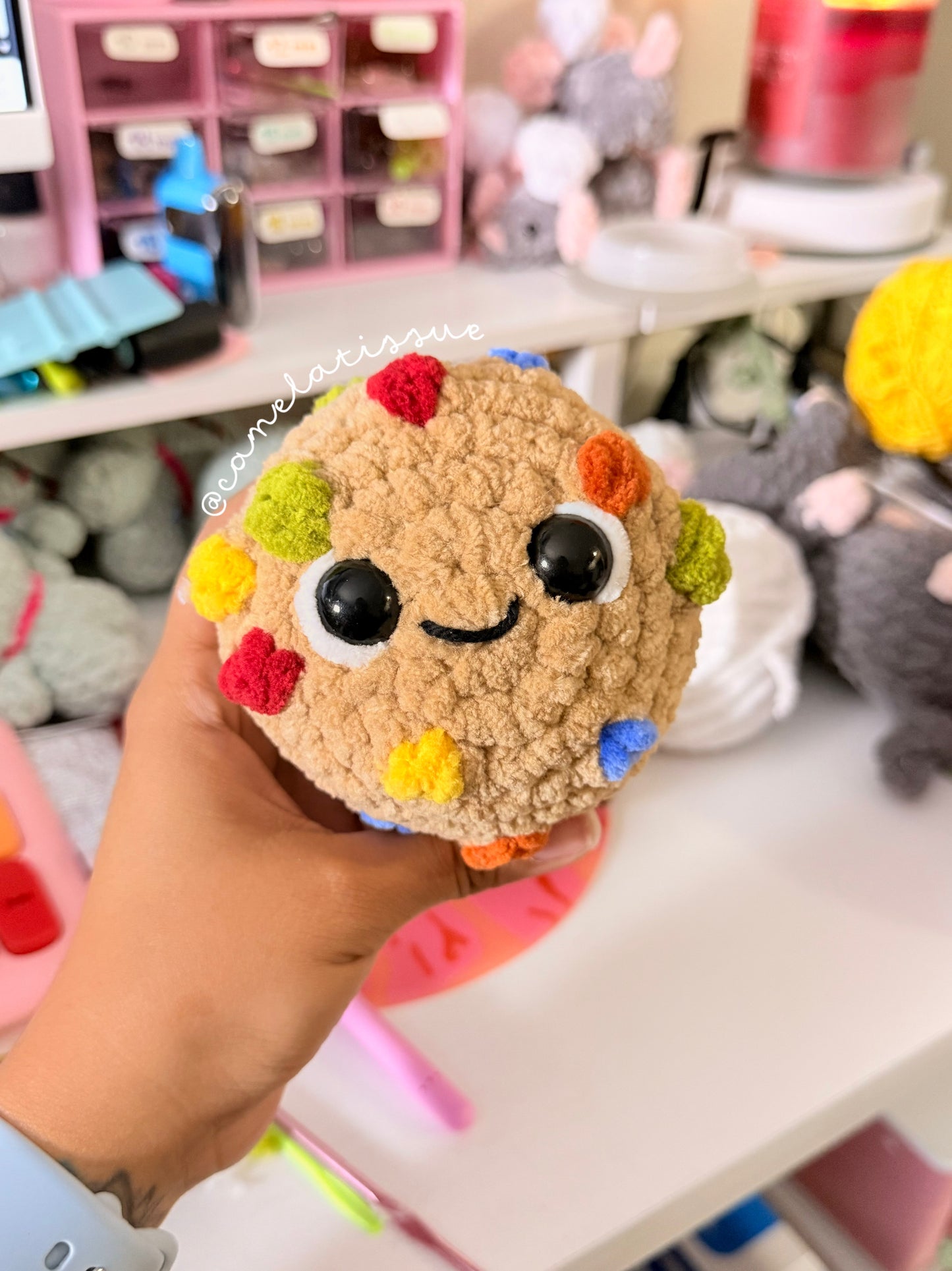 Cookies✨
