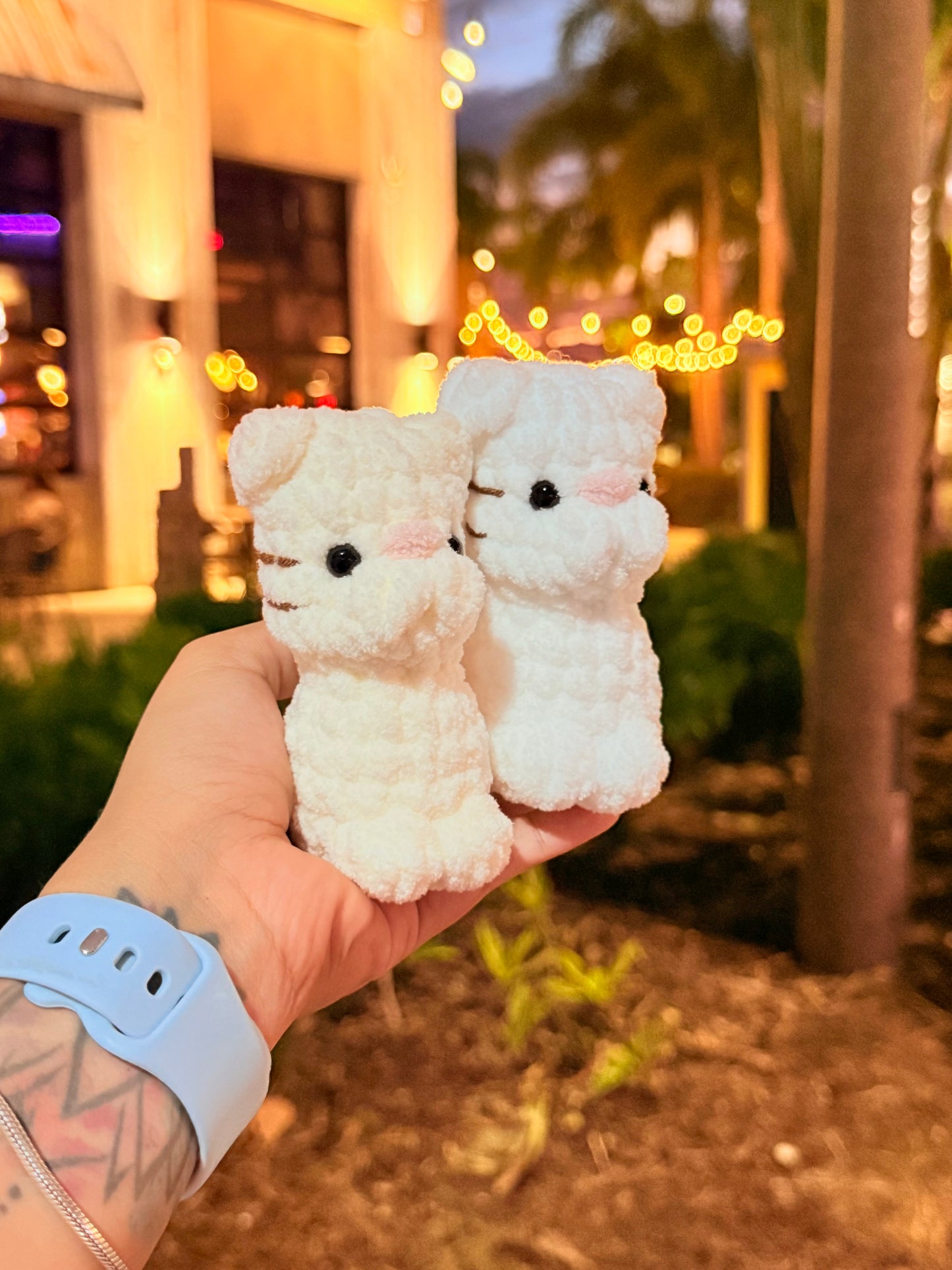 Mini Gatitos